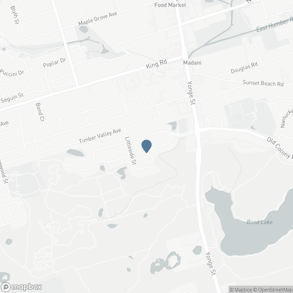 46 SNOWY MEADOW AVENUE, Richmond Hill, Ontario L4E 3V4